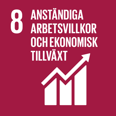 Anständiga arbetsvillkor och ekonomisk tillväxt Anständiga arbetsvillkor och ekonomisk tillväxt