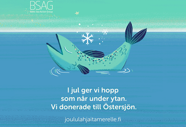 Vi donerade till Östersjön denna jul.
