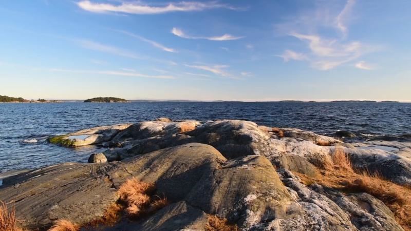 Rädda en bit av Östersjön